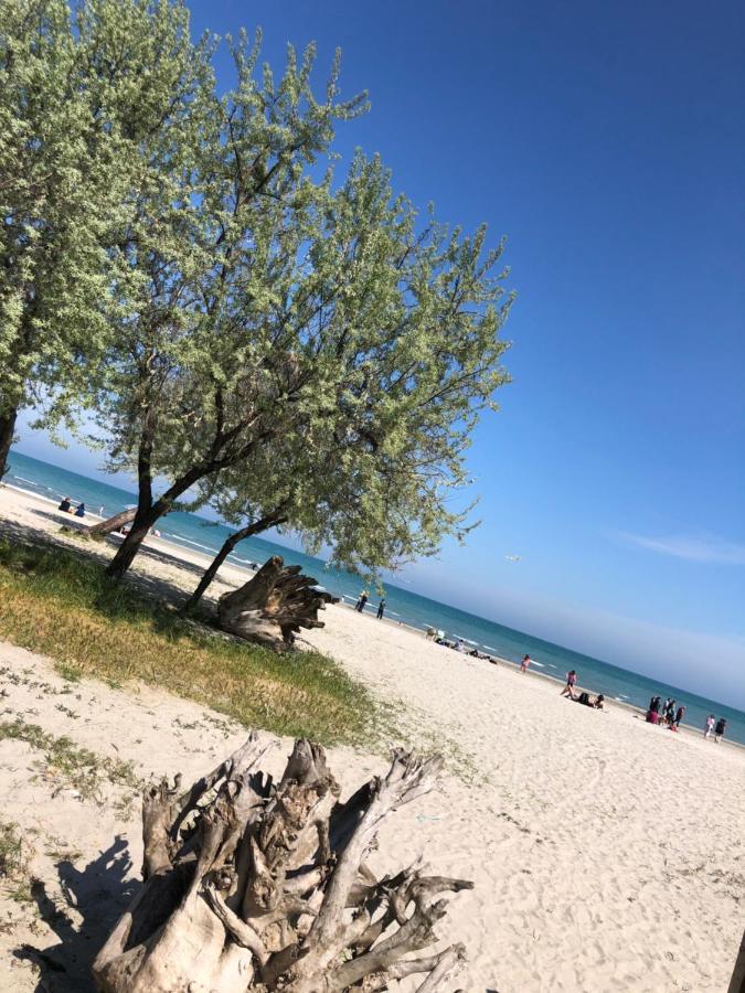 North Spa&Pools Alezzibeach Năvodari المظهر الخارجي الصورة